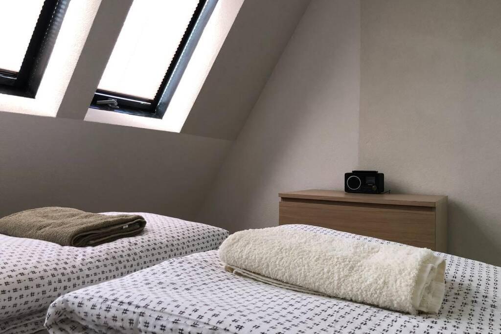 Apartment Rajic Голубац Екстериор снимка
